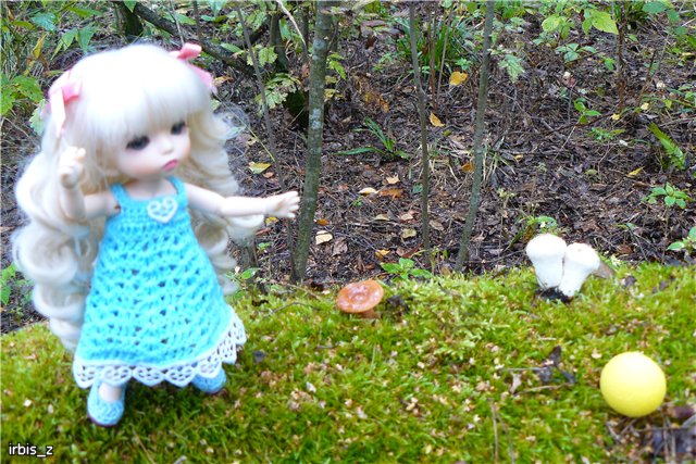 Осенняя сказка. Часть 2. (PukiFee Ante Ариэтти, PukiFee Bonnie Ариэль) | Бэйбики Осенняя сказка. Часть 2. (PukiFee Ante Ариэтти, PukiFee Bonnie Ариэль)