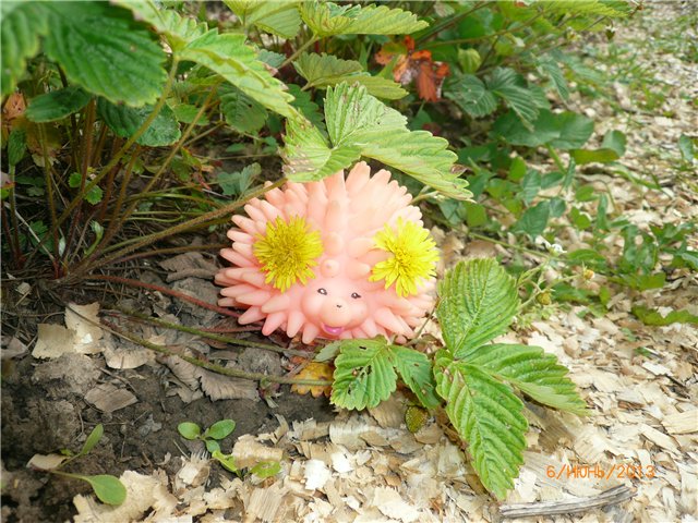 Мои позитивчики — Домашние коллекции кукол: фото собраний