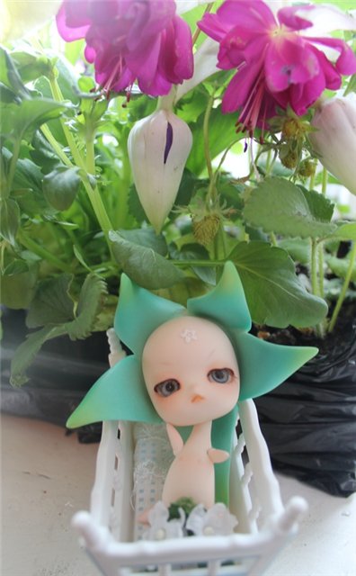 Новые Цветочки, у меня в Садочке! Anson Fairies, Dollzone (фото 2)