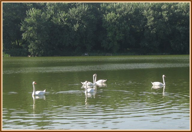 Путешествие Яшки | Бэйбики Путешествие Яшки — Куклы Fairyland (ФэйриЛэнд): BJD (БЖД)