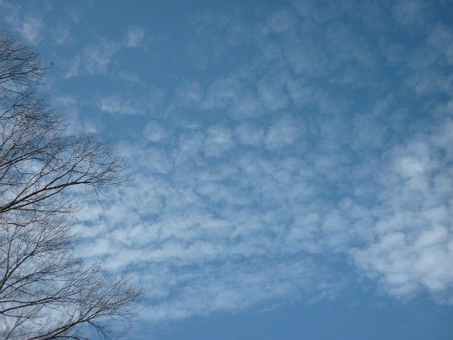 Золотая осень. Старый Оскол, Белгородская область (фото 4)