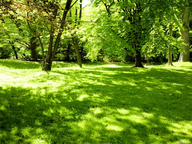 8 жизней. Фарфоровая кукла Angela McNeely от Ruby Doll | Бэйбики 8 жизней. Фарфоровая кукла Angela McNeely от Ruby Doll (фото 2)