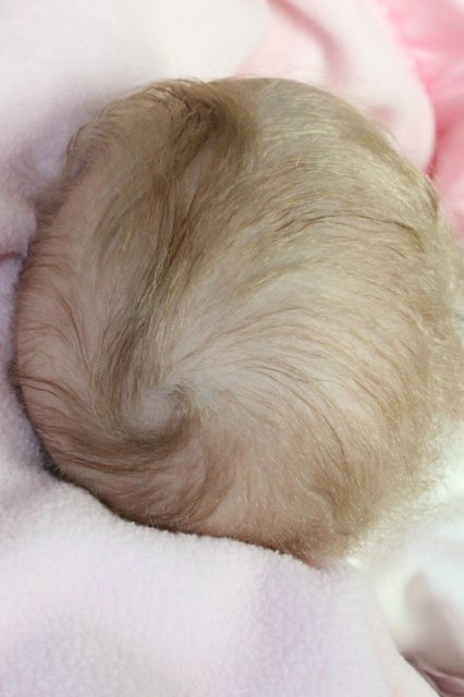 Сладкие сны Манюнечки! Кукла реборн Беспаловои Жанны