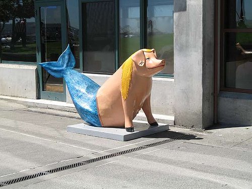 Сиэтл. Такие забавные свинки (фото 6)