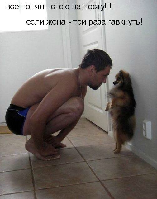 Понедельник - день тяжёлый | Бэйбики Понедельник - день тяжёлый