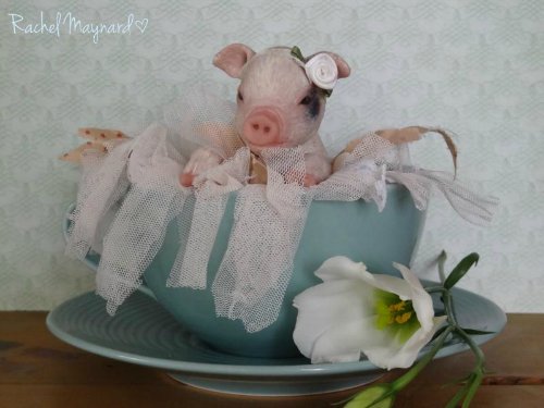 Зверятки-реборнятки — Молды и прототипы Реборн (Reborn): новинки (фото 7)