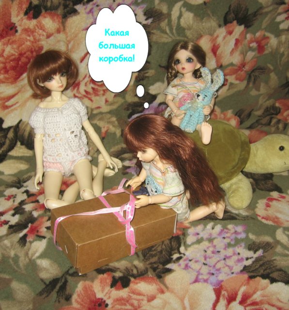 День рождения Мини — Куклы Fairyland (ФэйриЛэнд): BJD (БЖД)