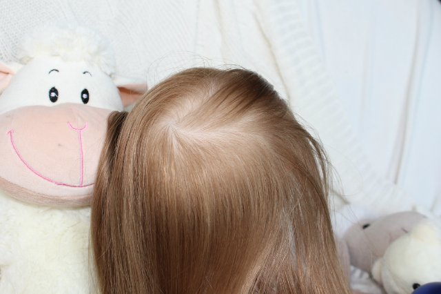 И снова Рябинка. Кукла реборн Натальи Ветровой