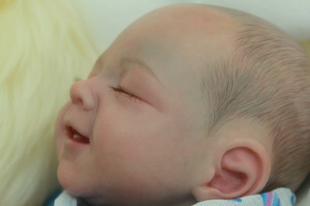 Мои двойняшки-кукла реборн Элины Кудрявцевой