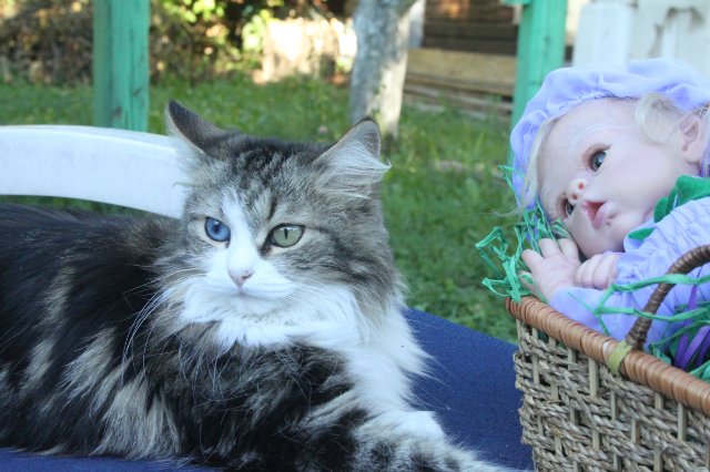 Офелька-стрекоза, куклёныш реборн Элины Кудрявцевой