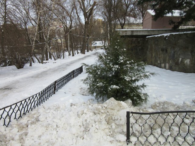 Чем бы заняться юному лорду 30 декабря