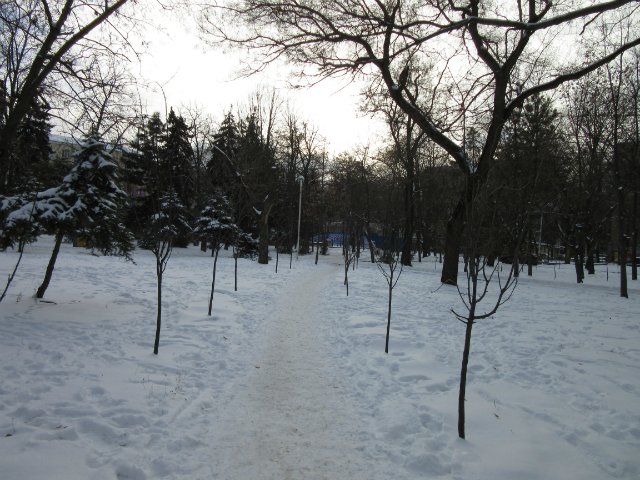 Чем бы заняться юному лорду 30 декабря