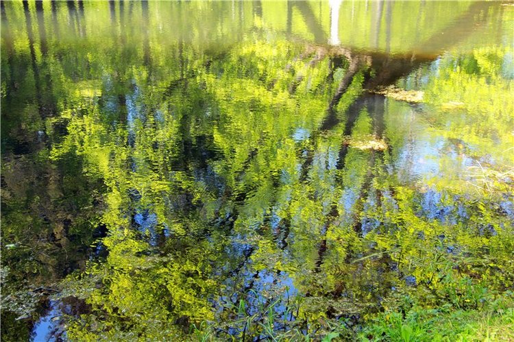 Субботний вояж. Часть вторая | Бэйбики Субботний вояж. Часть вторая