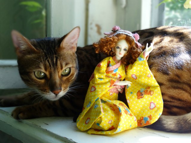 Метелька и её новый друг | Бэйбики Метелька и её новый друг — Куклы Souldoll (Соулдолл): BJD (БЖД)