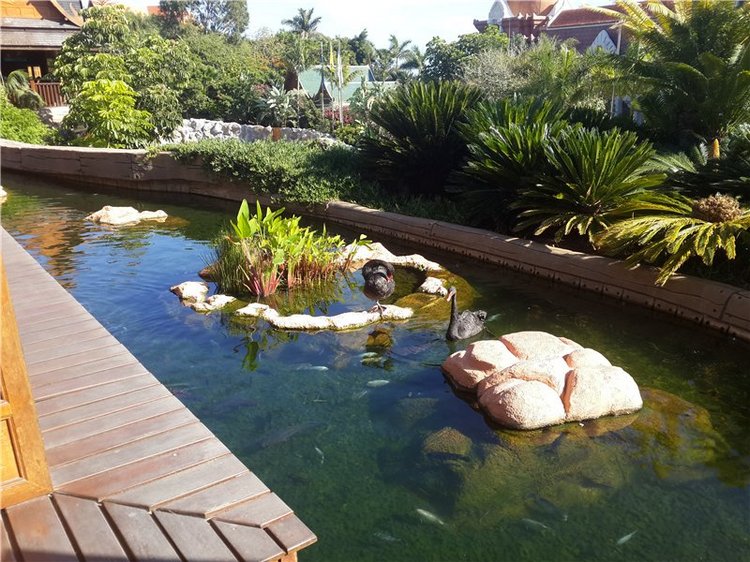 Испания. Тенерфе. Часть 2. Лоро парк (фото 2)