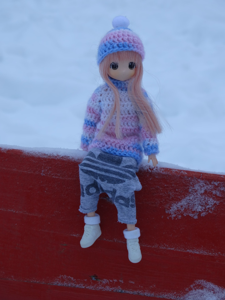 Банни и её ослик — Аниме куклы (MJD/Винил): Imomo (фото 3)