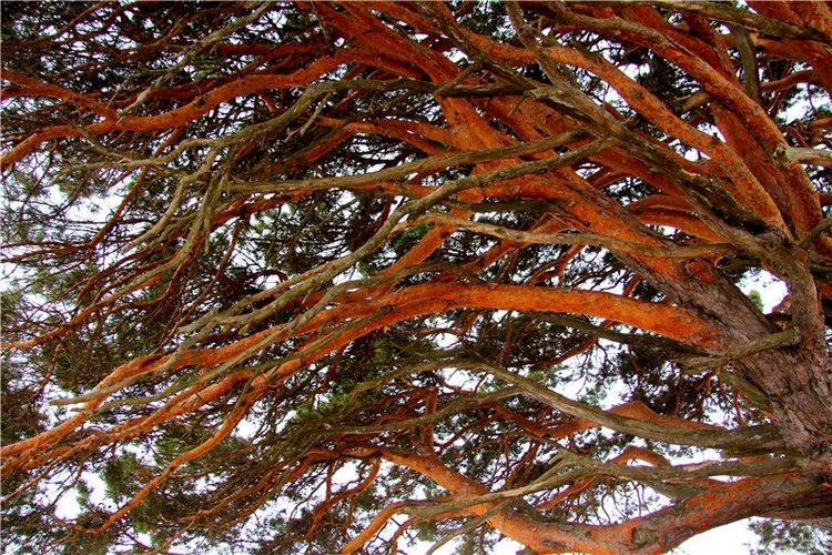 Весеннее путешествие. Продолжение (фото 8)