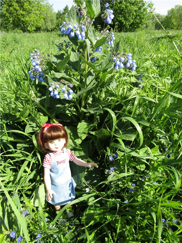 Бетси Robert Tonner. С красным бантом по зеленому лугу