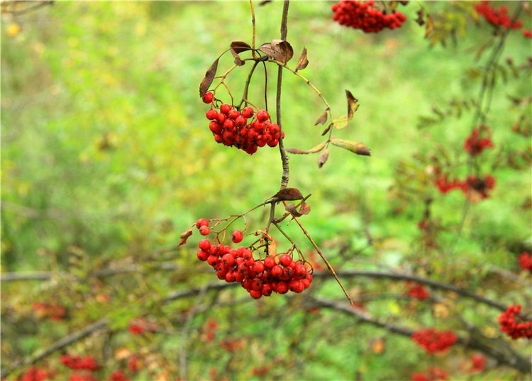 Тверской Водопад — Туризм и путешествия: фотоотчеты из поездок