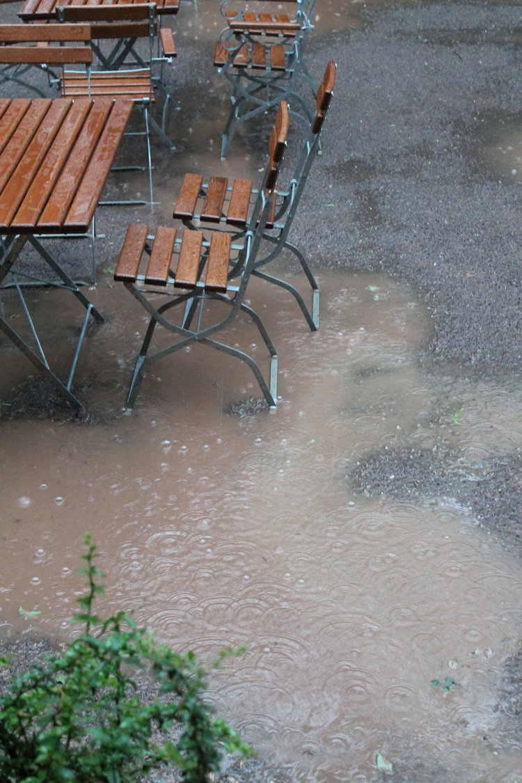 По Германии: зоопарк Лейпцига, часть 3