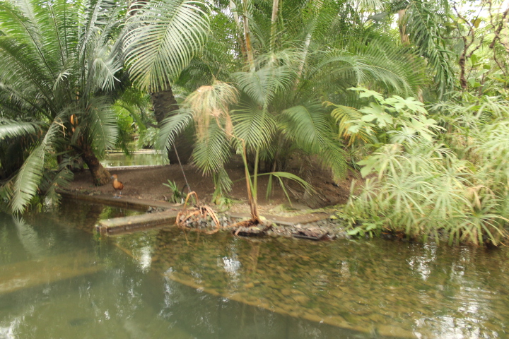 По Германии: зоопарк Лейпцига, часть 2