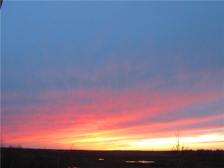 Наш новый наряд — Куклы Iplehouse (Иплхаус): BJD (БЖД)