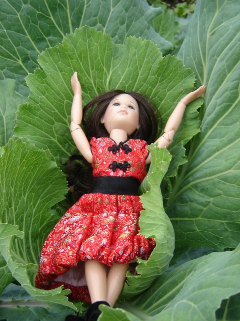 Компромисс: моя первая БЖД: Люси - Senson doll, в гостях на даче