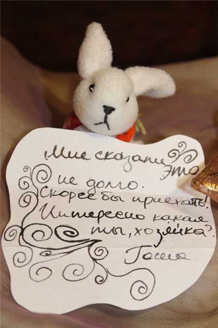 Как мы встречали братишку Гошу! (Цветуля-2). Fairies, Dollzone (фото 4)