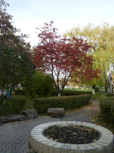 Золотая осень. Старый Оскол, Белгородская область