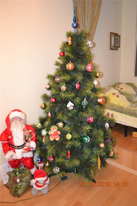 Ко встрече Нового Года готовы)