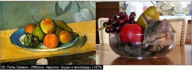 «Мяу» особого назначения или Весенняя кошкотерапия