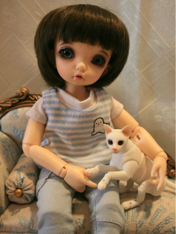 БЖД питомец - кот Као-Мани