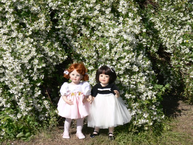 Продолжение прогулка в Ботаническом саду Санкт Петербурга. Часть 2. Иридарий | Бэйбики Продолжение прогулка в Ботаническом саду Санкт Петербурга. Часть 2. Иридарий