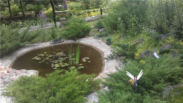 Маленький парк — Куклы Dollzone (Доллзон): BJD (БЖД)