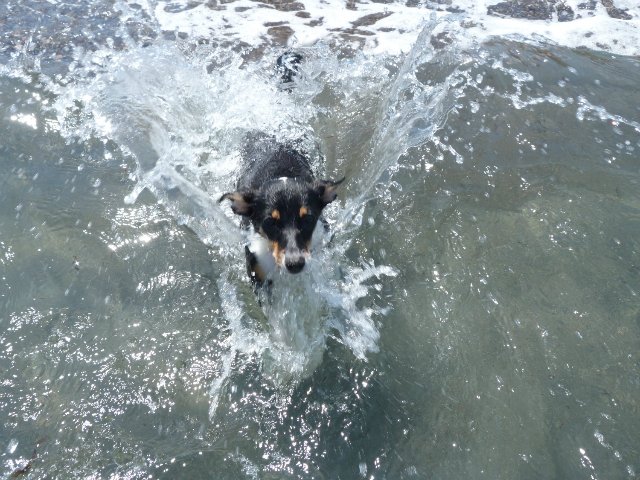 Кусочки моей Греции — Болталка и разговоры обо всем: жизнь