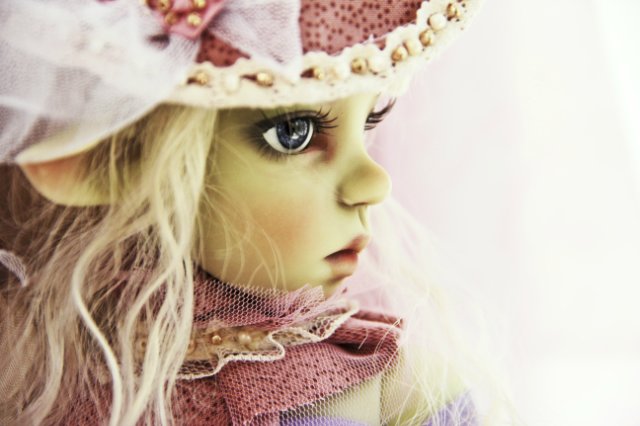 Знакомтесь, моя прекрасная Нелли Kaye Wiggs