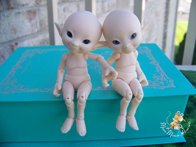 Новая семейка...или *Крошка на ладошке*-2-Titi & Toki Realpuki от Fairyland