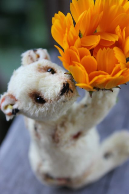 Летний карманный мишка тедди (фото 5)