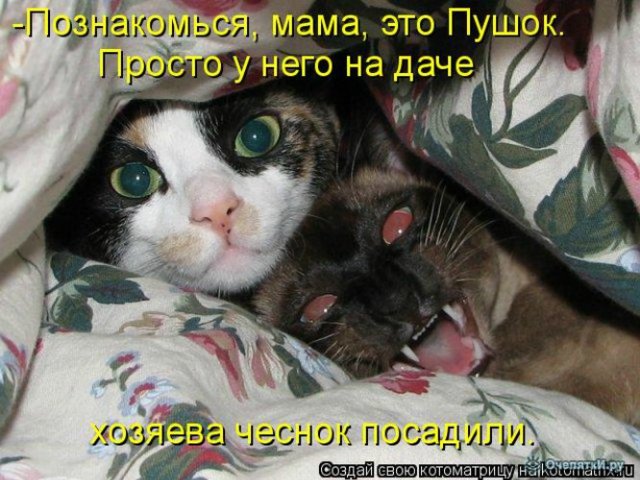 Просто добавь улыбку или пятничный девиз