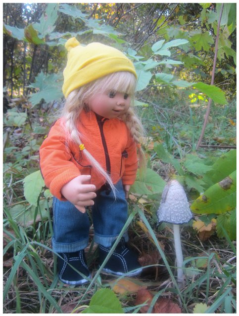 "Неприятный случай" или Ёжик, осень, грибочки. Wichtel, Rosemarie Anna Muller