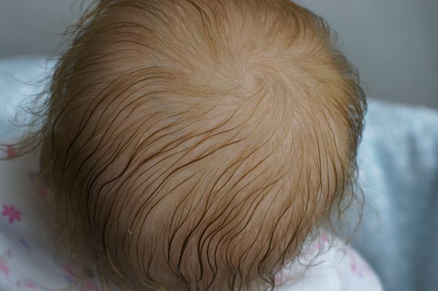 Анютка - моя маленькая сладкая Луковка. Работа Марины Мацко (фото 10)