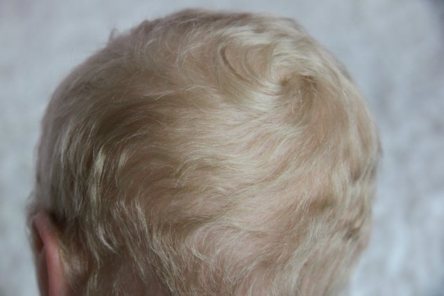 Пышка Пэрис. Куколка реборн Виктории Вишни