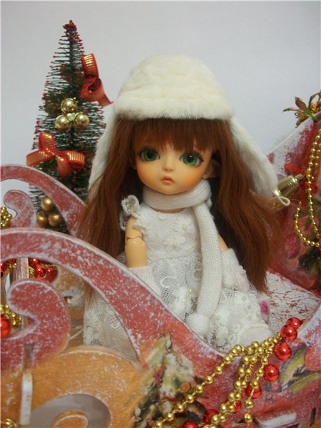 Как мои Латишки встречали Новый Год