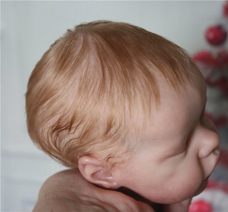 Twin В. Сплюшечка реборн — Куклы Реборн (Reborn): работы мастеров (фото 2)