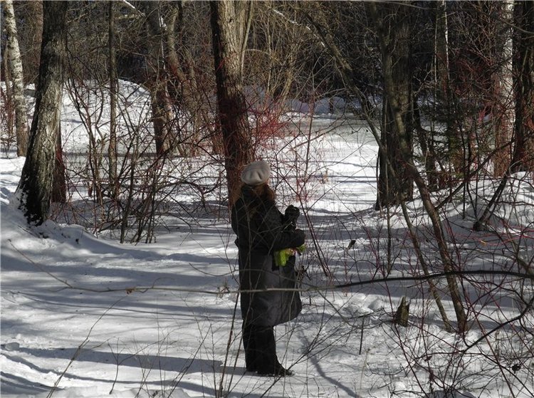 Моя весна итоги конкурса и фото которые ещё не видел никто (фото 2)