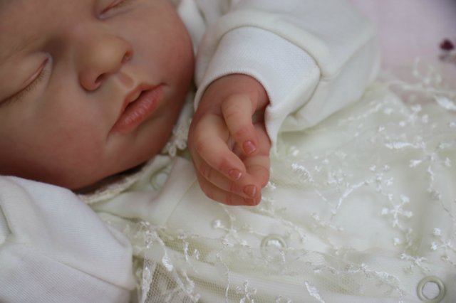 Ноашечка. Куколка реборн Виктории Вишни