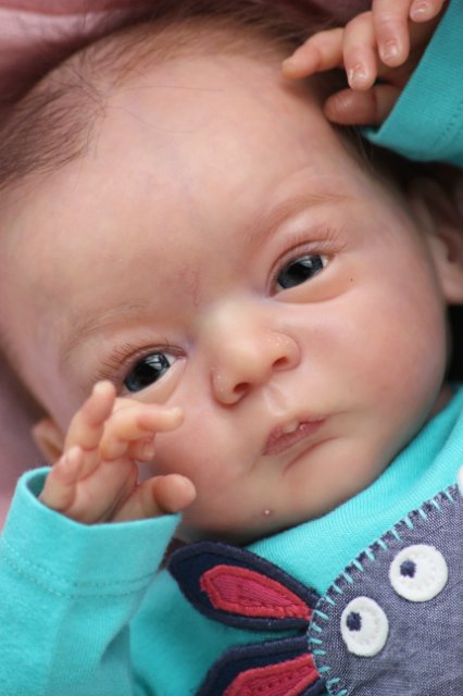 Мой ангел Линдея. Кукла реборн Светланы Ковылиной (фото 6)