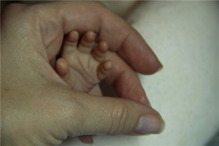 Моя сладкая Офелька от Ольги Ауэр