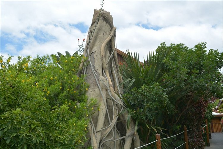 Испания. Тенерфе. Часть 3. Сиам парк