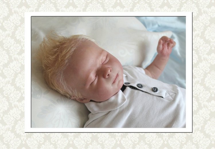 Реалборн Кимберли, сейчас принц Гарри (фото 6)